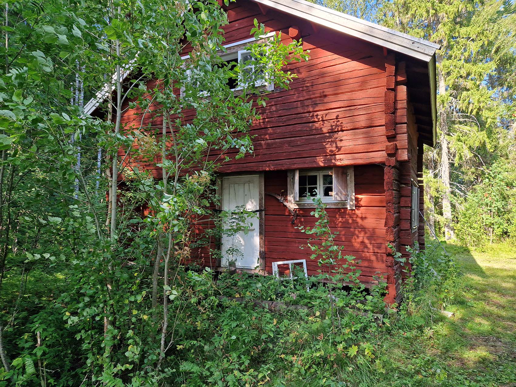 Äldre härbre på eventuella campingområdet.