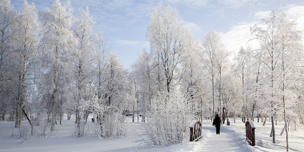 Shutterstock_skor i höstlöv